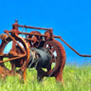 Meet your Posher, Dylan